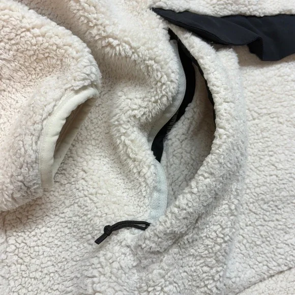 The North Face Campshire Pullover Hoodie Women's Sherpa Fleece Hoodie Warm Large - Picture 5 of 14